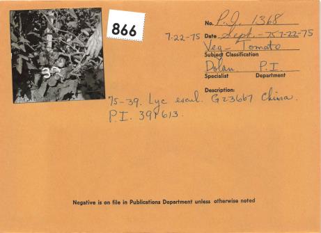 Click for 2 image(s) for this accession. Field